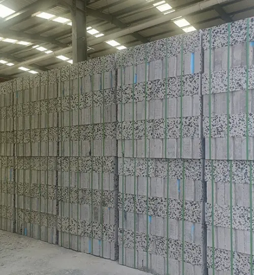 Mongolie Intérieure Ordos client production quotidienne de 300 mètres cubes de projet de blocs légers